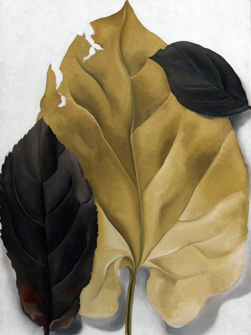 Brown And Tan Leaves - Okeefee - Canvas Prints by Georgia OKeeffe