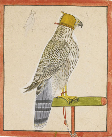 A Favourite Falcon Of Raja Balwant Singh Of Jasrota - C.1737 -  Vintage Indian Miniature Art Painting by Miniature Vintage