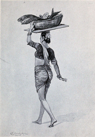 A Koli (Fisher) Woman - M V Dhurandhar - Indian Masters Artwork - Canvas Prints by M. V. Dhurandhar