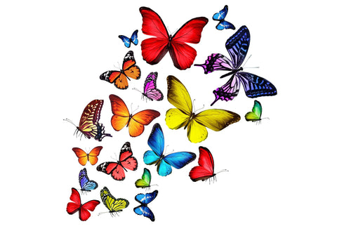 A Collection Of Brilliant Butterflies - Canvas Prints by Hamid Raza