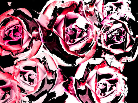 Abstract Art - Steel Roses by Teri Hamilton