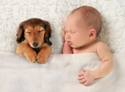 Adorable Baby And Puppy Napping Together - Art Prints by Sina