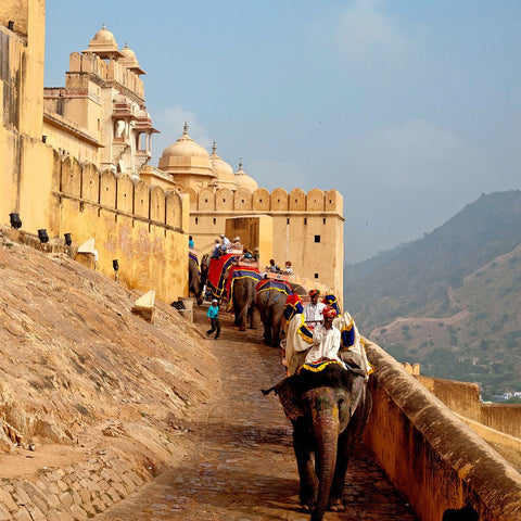 Amber Fort - Canvas Prints by Tallenge Store