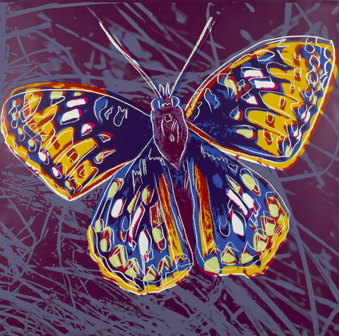 Andy Warhol - Endangered Animal Series - San Francisco Silverspot by Andy Warhol