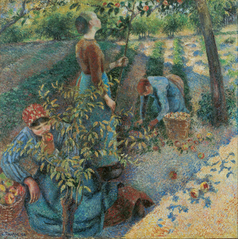 Apple Picking - Canvas Prints by Camille Pissarro