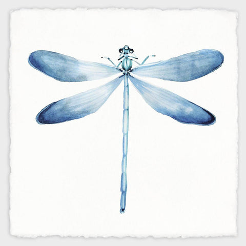 Blue Dragonfly - Nature Painting - Art Prints by Aron