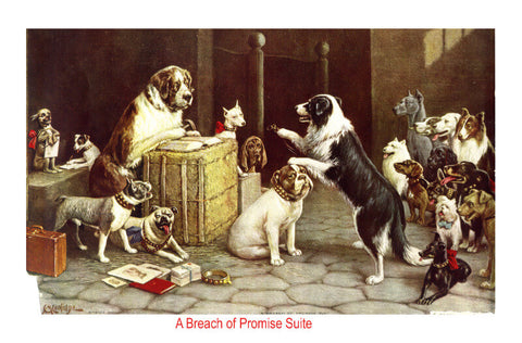 Breach Of Promise Suit