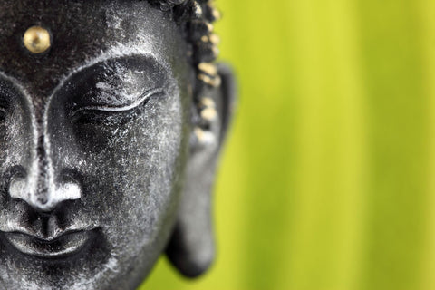 Buddha - The Enlightened One by Sina Irani