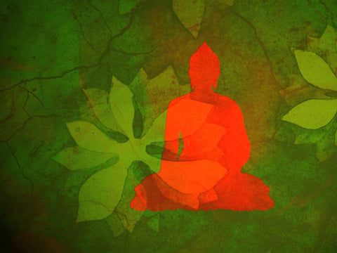 Buddha With Green Leaves Background - Posters by Sina Irani