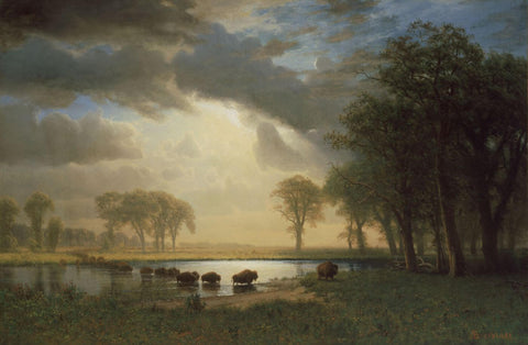 Buffalo Trail - Albert Bierstadt - Western American Indian Art Painting by Albert Bierstadt