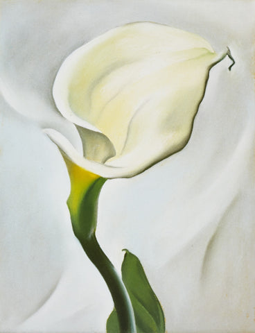 Calla Lily Turned Away - Canvas Prints by Georgia OKeeffe