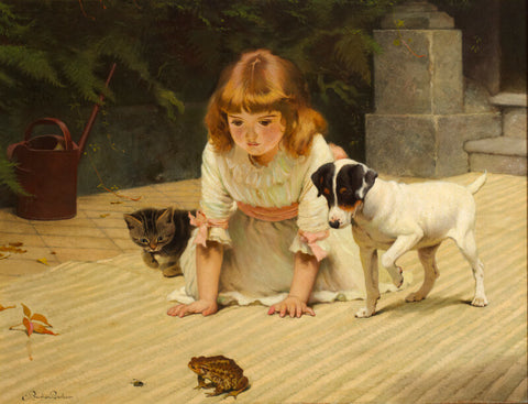 Curiosity
