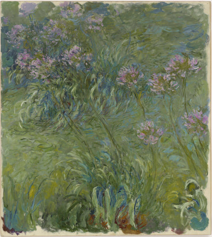 Agapanthus (Agapanthe) – Claude Monet Painting – Impressionist Art”. by Claude Monet 