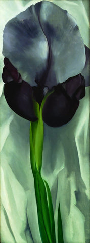 Dark Iris No.1 by Georgia OKeeffe