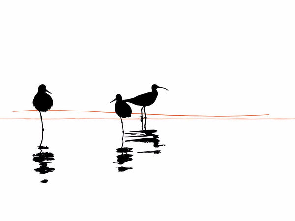 Elegant Waterbirds - Canvas Prints