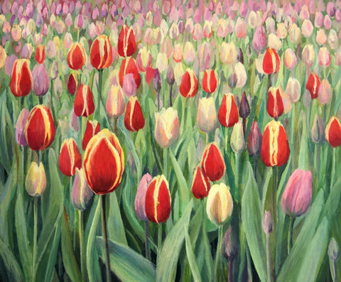 Field Of Tulips - Canvas Prints by Tallenge Store