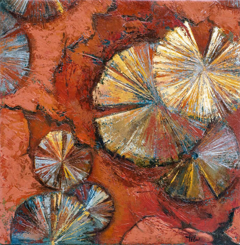 Fire by Teri Hamilton