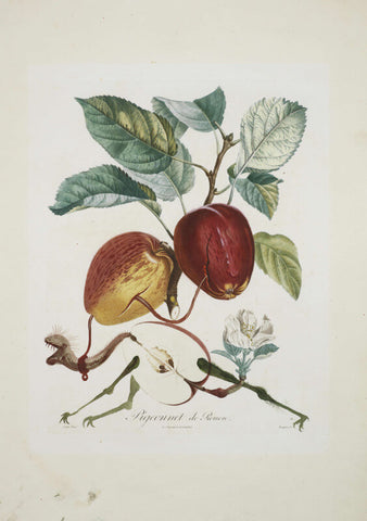 Fruit Series - Apple By Salvador Dali by Salvador Dali