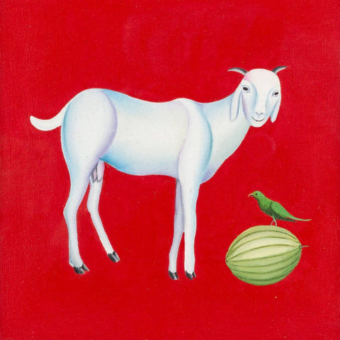 Goat Parrot And A Watermelon - Canvas Prints
