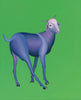 Goat (Green Background) - Canvas Prints