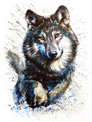 Gray Wolf - Watercolor Animal Painting