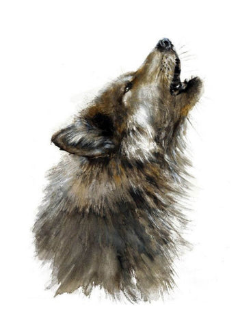 Grey Howling Wolf - Watercolor Animal Painting by Sina Irani