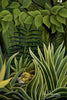 Two Lions In The Prowl by Henri Rousseau - Gallery Wrapped Panels (20 x 10) x 3
