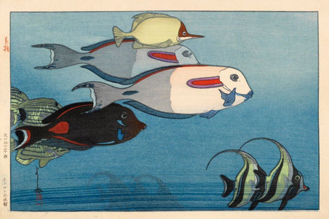 Honolulu Aquarium - Yoshida Hiroshi - Ukiyo-e Woodblock Print Japanese Art Painting by Hiroshi Yoshida