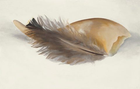Horn And Feather - Georgia OKeeffe - Canvas Prints by Georgia OKeeffe