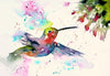 Hummingbird - Colorful Painting - Bird Wildlife Art Print Poster - Posters