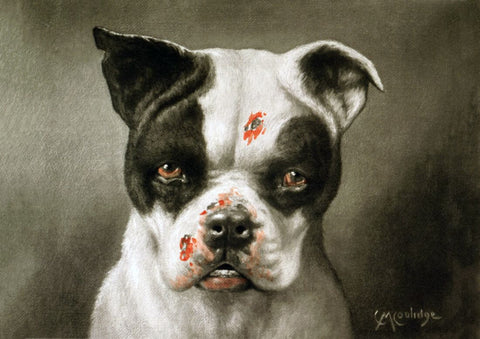 Im A Bad Dog - Cassius Coolidge Painting 1895 by Cassius Marcellus Coolidge