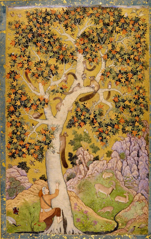 Squirrels in a Plane Tree by Abu al-Hasan