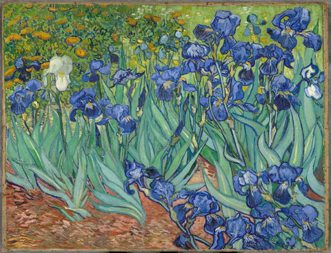Irises - Canvas Prints by Vincent Van Gogh