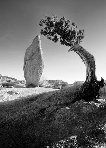 Landscape - Ansel Adams - American Landscape Photograph by Ansel Adams