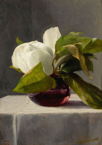 Magnolia - John La Farge - Floral Painting - Canvas Prints by John La Farge
