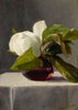 Magnolia - John La Farge - Floral Painting - Posters