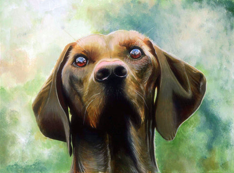 Man's Lovely Pet - Posters