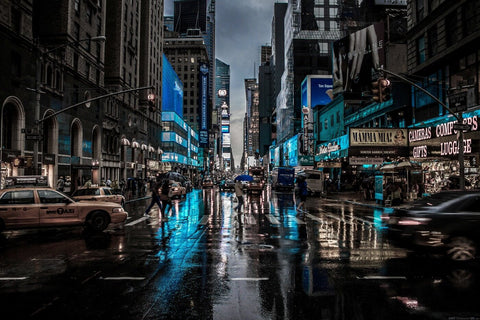 Manhattan by Teri Hamilton