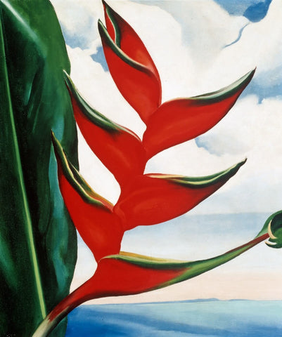 Heliconia - Georgia OKeeffe by Georgia OKeeffe