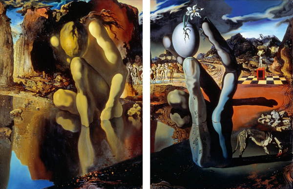 Narcissus by Salvador Dalí - Art Panels