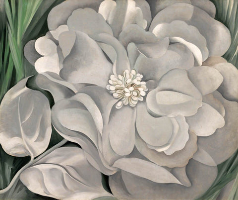 White Calico Flower - Whitney - Georgia OKeeffe - Posters by Georgia OKeeffe