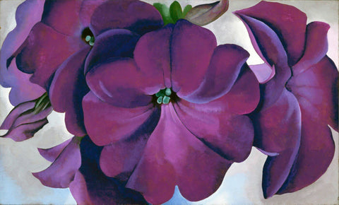 Lavender  Petunias - Georgia OKeeffe - Canvas Prints by Georgia OKeeffe