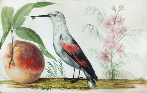 Birds and Fruit - Canvas Prints by Pietro Piani