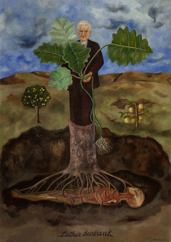 Portrait Of Luther Burbank (Retrato De Luther Burbank) - Canvas Prints by Frida Kahlo