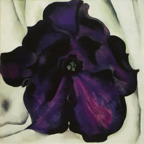 Purple Petunia - Canvas Prints by Georgia OKeeffe