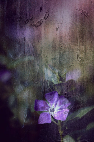 Purple - Life Size Posters