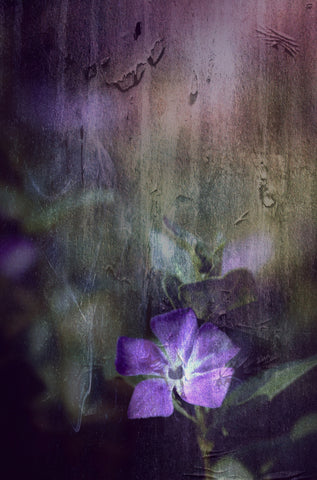 Purple by Sandra De Wet-Du Toit
