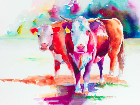 Rainbow in a Cattle Farm by Christopher Noel