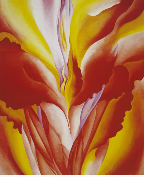 Red Canna - Art Prints