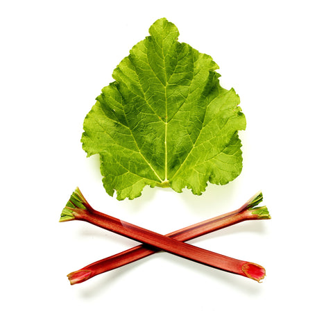 Rhubarb by Manuel Samson